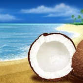 kokosovyorech fotka