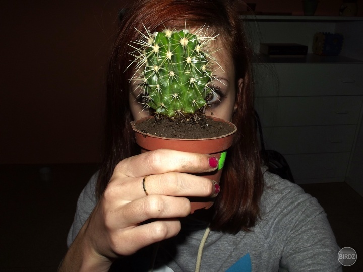 Kaktusoidná A.A.