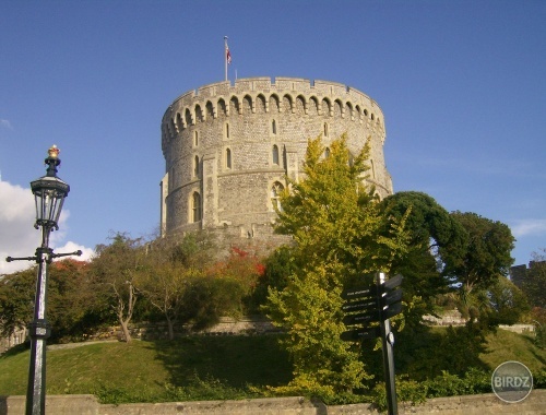 Windsor :)