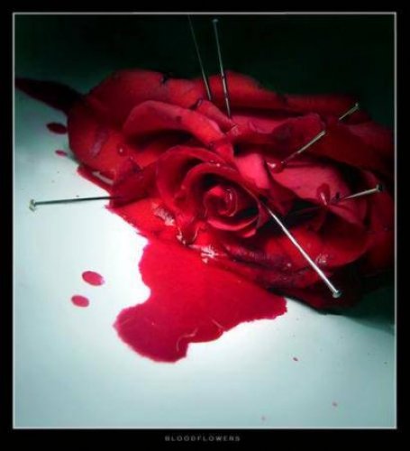 Bloody rose...(pri takychto veciach sa ani nebudem dalej vyjadrovat,ono to hovori samo za seba...)