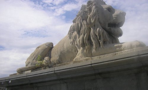 Lev z mosta v Budapešti