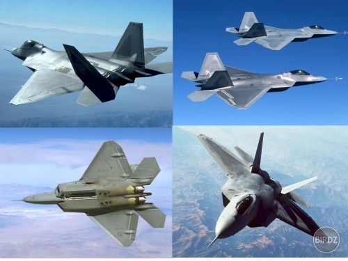 Druhy F-22