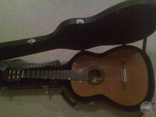 Tak tuto som mala požičanú, ale je to asi najdrahšia gitara, akú som mala v ruke