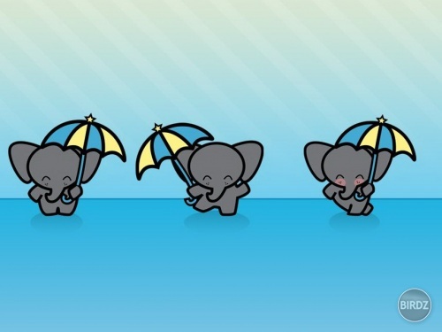 Sloníci, ktorí inšpirovali Rihannu :-)