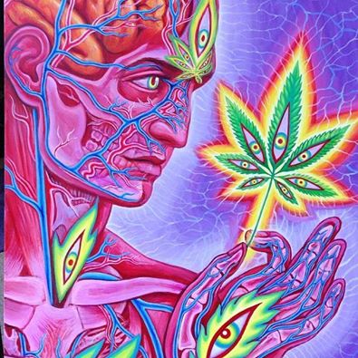 Alex Grey-Cannabis Sutra_