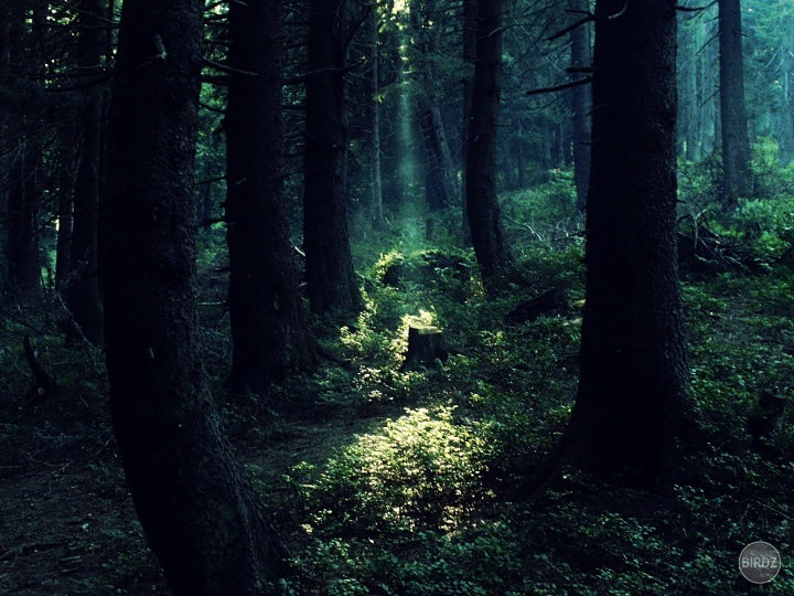 chcela som Twilight les:/:DDDD