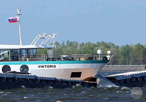 Zrážka lodí v Šamoríne (apríl 2011)