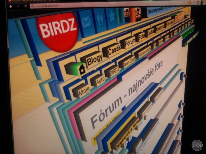 3D birdz :D