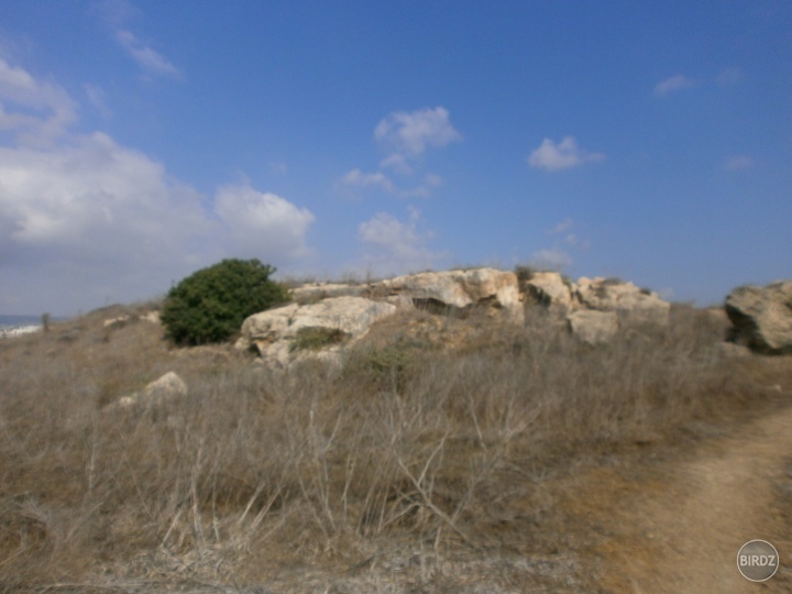Strecha Solomonských katakomb