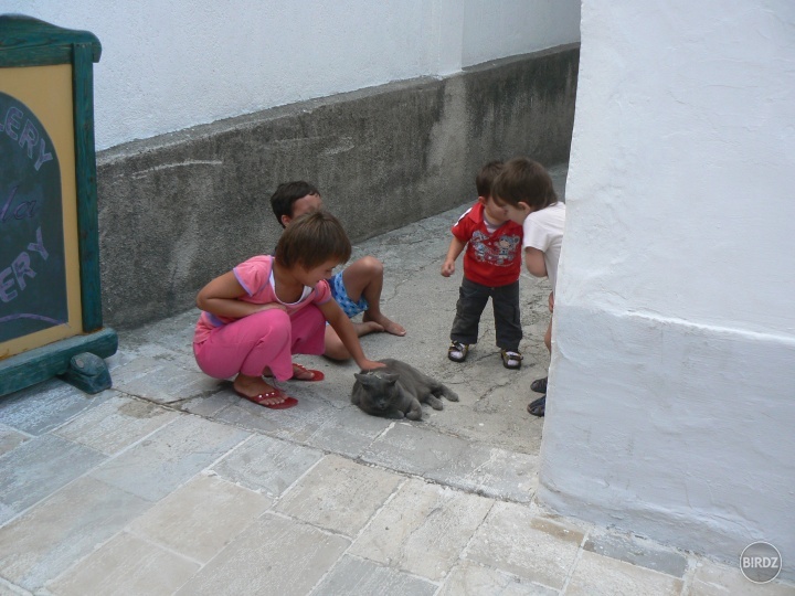 Mám rada chorvátske mačky. Tie decká ju hladkali, dávali jej na hlavu lístky a ona nič.