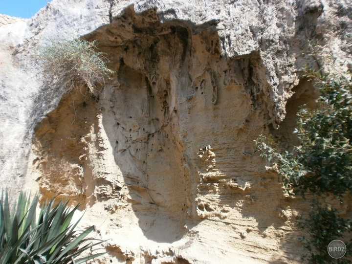 Solomonské katakomby