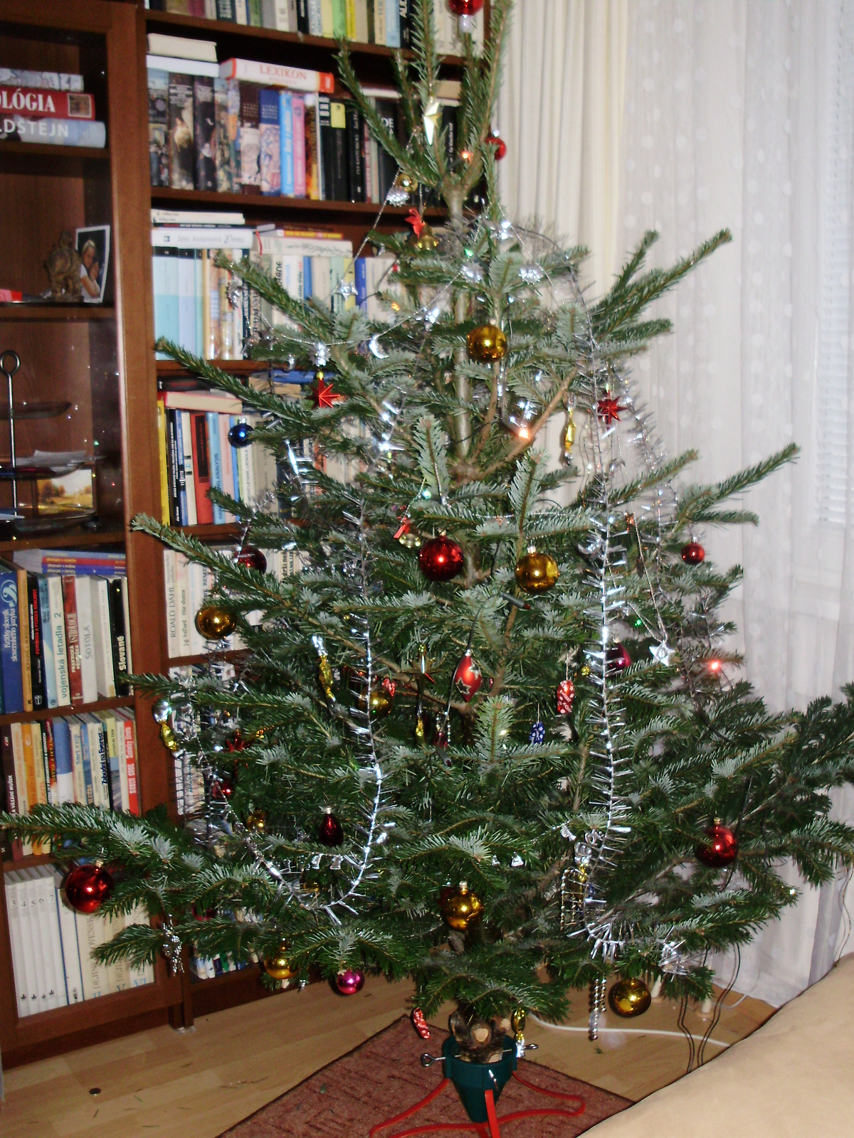 notre arbre de noel :) vianocny stromcek 2008...prvykrat jedlicka :D