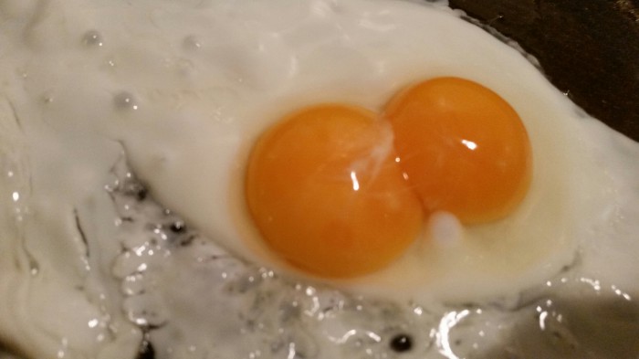 Jéj mal som dvojčátka vo vajíčku :D A áno je to vegánske vajce