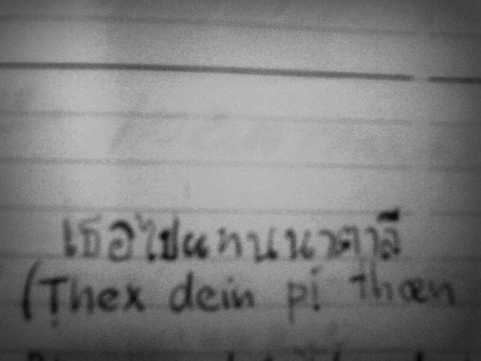 Načo som sa mala do práce učiť anglinu keď mi bohato stačí thajcina!.... teraz otázka či som jej to dobre napísala ... či tomu pochopí :D :D :D
