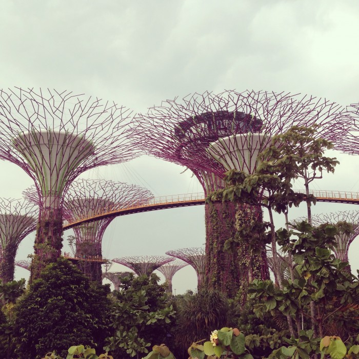 Gardens by the Bay - Skyway, Singapore