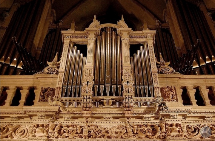 orgue de la cathédrale Notre Dame