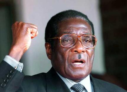 genialny ekonóm Robert Mugabe