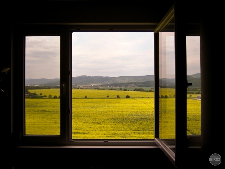 window and field