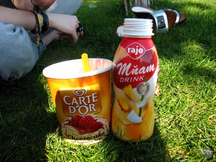 Dosť dobrá kombinácia na posedenie na trávniku:D Carte dor Cheesecake a kokosovo-ananásový mňam :D