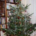 notre arbre de noel :) vianocny stromcek 2008...prvykrat jedlicka :D