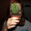 Kaktusoidná A.A.