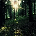 chcem twilight les!:((