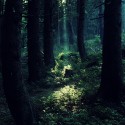 chcela som Twilight les:/:DDDD