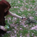Hyde Park a kŕmenie veveričiek, Sárinkina slabosť.