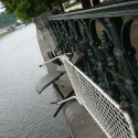 Výhľad na Vltavu