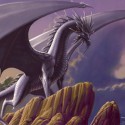 Ukážka z obrázkov v albume draci