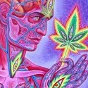 Alex Grey-Cannabis Sutra_