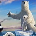 Ľadové medvede stopujú loď záchrany