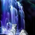 Ukážka z obrázkov v albume vlky