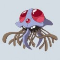 Tak toto je Tentacruel, krutý vodný Pokémon!!!