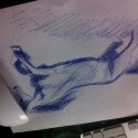 aj ja som nakreslil ale neumeleckeho kóňa :D