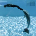 chcel by som si raz vyškrtnúť z môjho plánu plávanie s delfínmi a napísať -> splnené