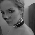 Ukážka z obrázkov v albume deviant cat