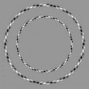 These two circles are perfectly round...
naozaj