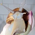 Kúpal som sa :D 
a že slimáky sa nevedia baviť :D ♥