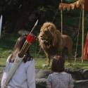 Predstupujú medzi zvieratámi, ale najväčší z opravdových kráľov je tam Aslan(lev)...