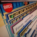3D birdz :D