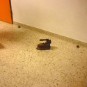 Starodávna žehlička prilepená na podlahe v rakúskej škole:D 