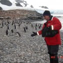 milé tučniaky