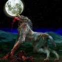 Ukážka z obrázkov v albume vlkodlaci