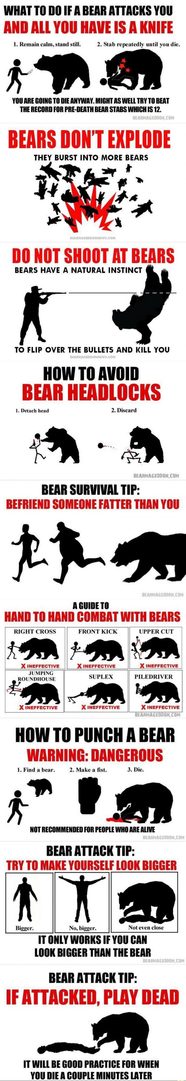 Keď stretnete medveďa