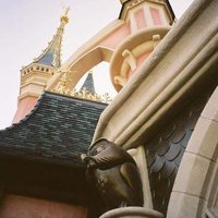 Disneyland - sovička