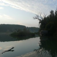 Dunajské luhy - Bodícke ramená
