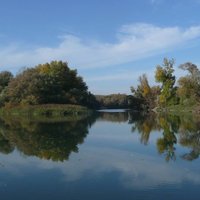 Dunajské luhy - Bodícke ramená