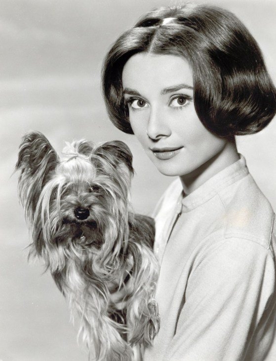 Ak tu niekedy niekde uvidíte nebezpečný flejm, tak ma otagujte a ja sem pridám fotku Audrey Hepburn s nejakým zvieratkom.
