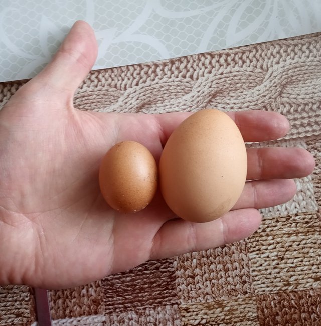 Vajíčko a Vajco :) 